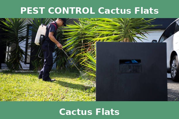 PEST CONTROL Cactus Flats